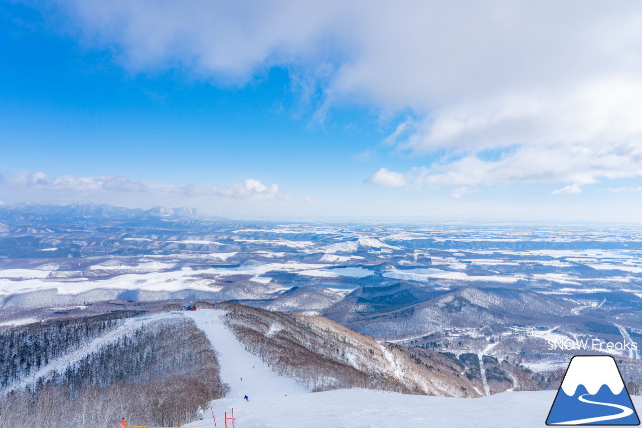 十勝サホロリゾート｜道東の粉雪はレベルが違う☆抵抗感皆無のさらさらパウダースノーへ滑り込め！(*^^*)